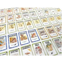 Bang Dodge City magyar kiadás