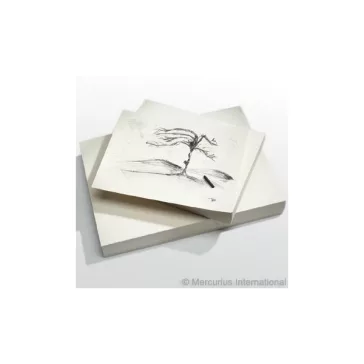 Svéd festőpapír 44x32 cm 250 ív 140g  wawa