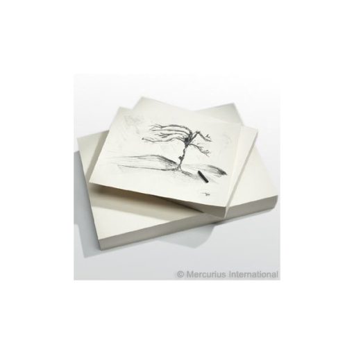 Svéd festőpapír 44x32 cm 250 ív 140g  wawa