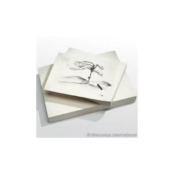 Svéd festőpapír 44x32 cm 250 ív 140g  wawa