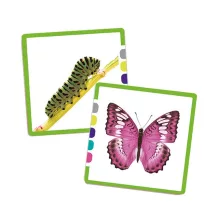 Képkártyák - Keresd a párját!, Akros, AKR20530