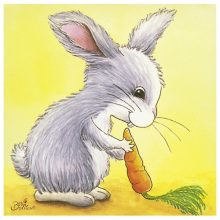 Kockakirakó: kölyökállatok (GOKI) GK57056