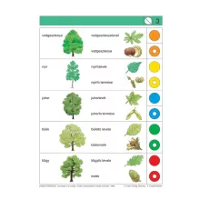 Ismeretek: 2-3. osztály, erdők, szántóföldek és kertek növényei - LOGICO Piccolo