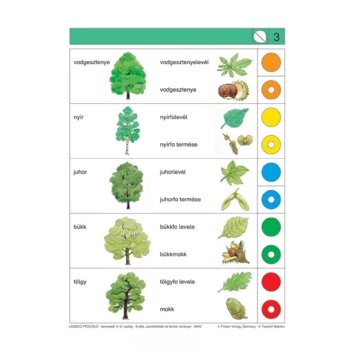 Ismeretek: 2-3. osztály, erdők, szántóföldek és kertek növényei - LOGICO Piccolo