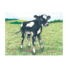 Kockakirakó fából: 9 db-os (GOKI) GK57607