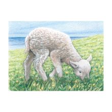 Kockakirakó fából: 9 db-os (GOKI) GK57607