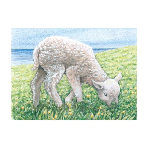 Kockakirakó fából: 9 db-os (GOKI) GK57607