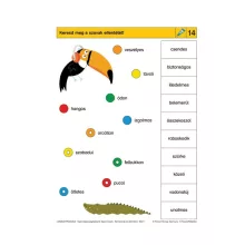 Nyelvi kreatív, szinonímák és ellentétek - LOGICO Piccolo