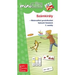   Számkirály, matematika feladatok 3. osztály, Mini - LÜK LDI534