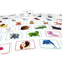 Concept Kids: Állatok