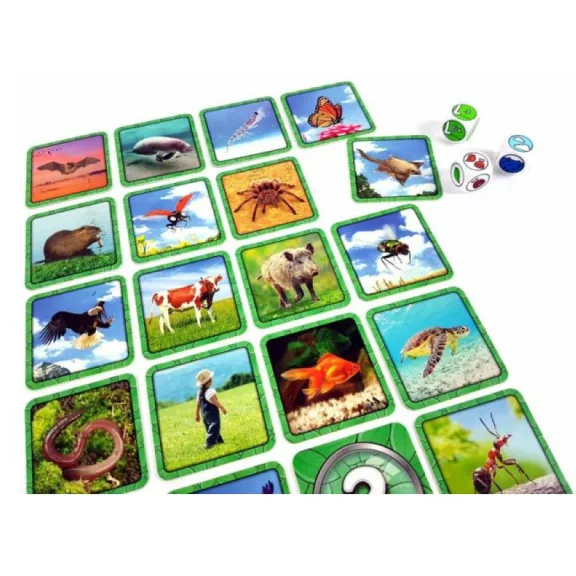 Specific, a megfigyelés játéka Specific, a megfigyelés játéka