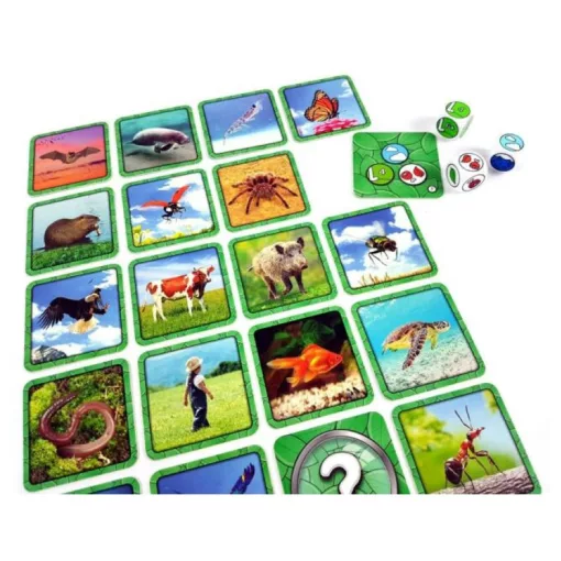 Specific, a megfigyelés játéka