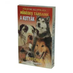 Kártya: Kvíz - Kvartett - Hűséges társaink: A kutyák