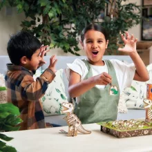 Dínó ásatás _ DINOSAUR DIG ORCHARD OR124