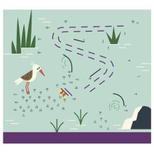 Letörölhető fejtörő feladatkártyák, Játék az állatokkal Auzou