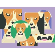 Papírszínház: A tükörteremben