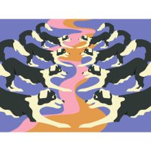 Papírszínház: A tükörteremben