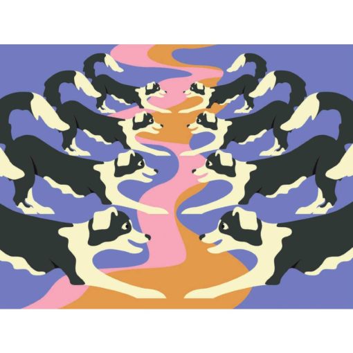 Papírszínház: A tükörteremben