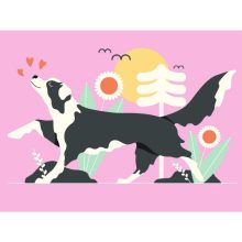 Papírszínház: A tükörteremben