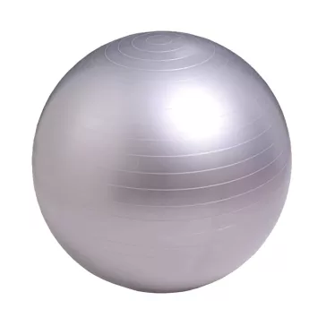 Gimnasztikai labda 55 cm-es  ezüst