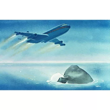 Diafilm: Jegesvízi Bálna Bálint