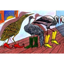 Diafilm A cinege cipője