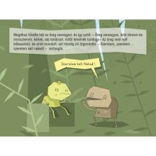 Diafilm Kuruttyoló békakirály - Békatestvérek