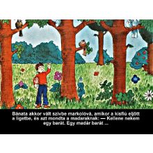 Diafilm A nagyravágyó feketerigó