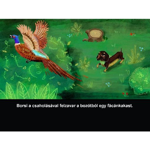 Diafilm Borsi az erdőben (RINGATÓ mesék)