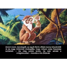 Diafilm A dzsungel meséje