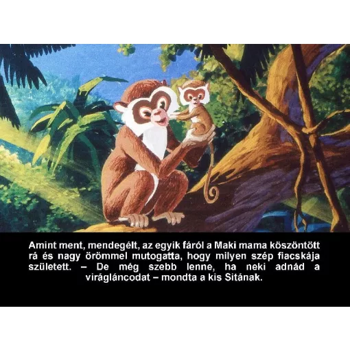 Diafilm A dzsungel meséje