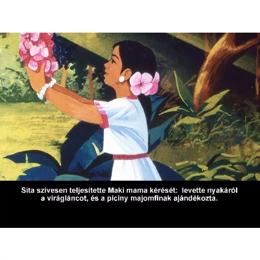 Diafilm A dzsungel meséje