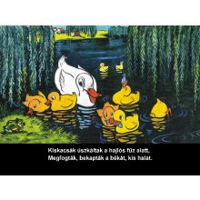 Diafilm A huncut kis csibe