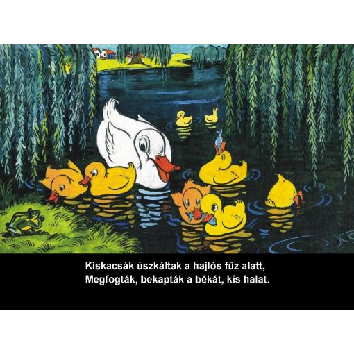 Diafilm A huncut kis csibe