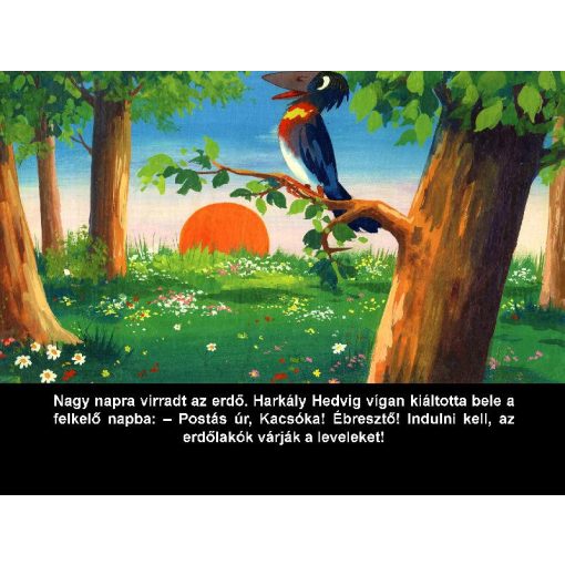 Diafilm: Erdei lakodalom