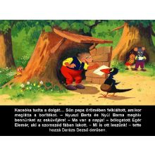 Diafilm: Erdei lakodalom