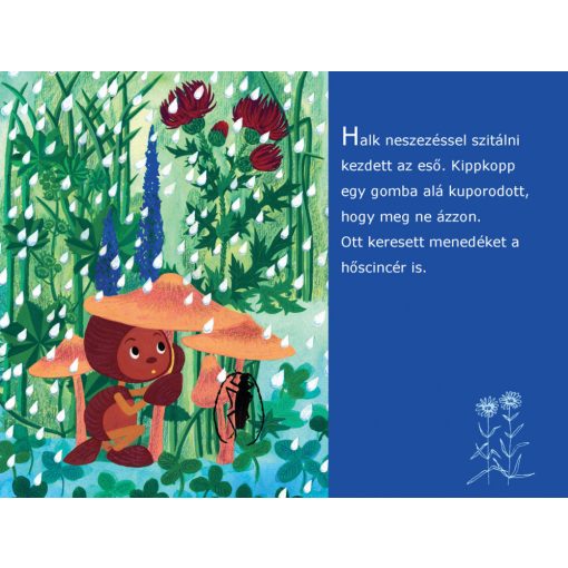 Diafilm - KIPPKOPP A FŰBEN