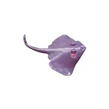 Tenger állatai: 8 db-os (MINILAND) ML27460