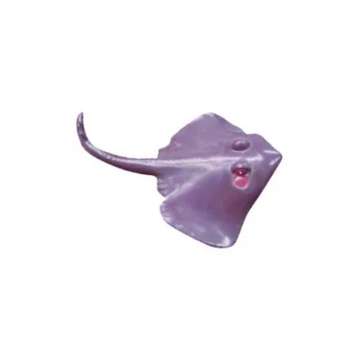 Tenger állatai: 8 db-os (MINILAND) ML27460