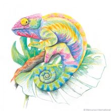 Stockmar 6szögletű színes ceruza, 1 db wawa