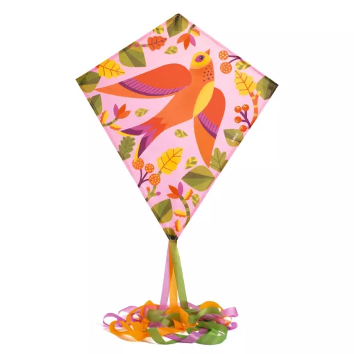 Szélsárkány: madárka (Birdy) Djeco