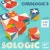 Logikai kockakirakó: Cicu-logika (Cubologic 9) Djeco