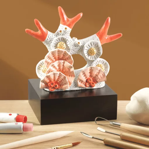 Műterem 85: Korall agyagszobor készítő (Atelier 85: Modelling) Djeco