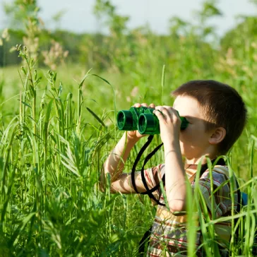   Kétcsövű zöld gy.távcső (Special 40 Green Binocular with Case) Navir optikai játék  