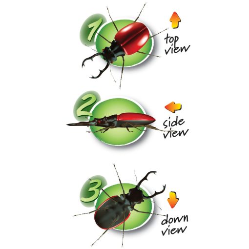Három nézőszögű bogárvizsgáló Navir optikai játék  