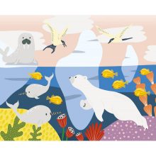 Karckép készítő: óceán (Auzou)