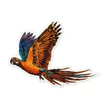 Karckép matricák: madarak (Avenir)