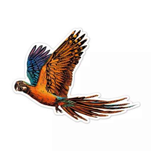 Karckép matricák: madarak (Avenir)