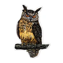 Karckép matricák: madarak (Avenir)