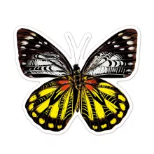 Karckép matricák: pillangók (Avenir)